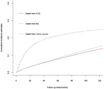 Long-term cardiovascular mortality risk in patients with bladder cancer: a real-world retrospective study of 129,765 cases based on the SEER database